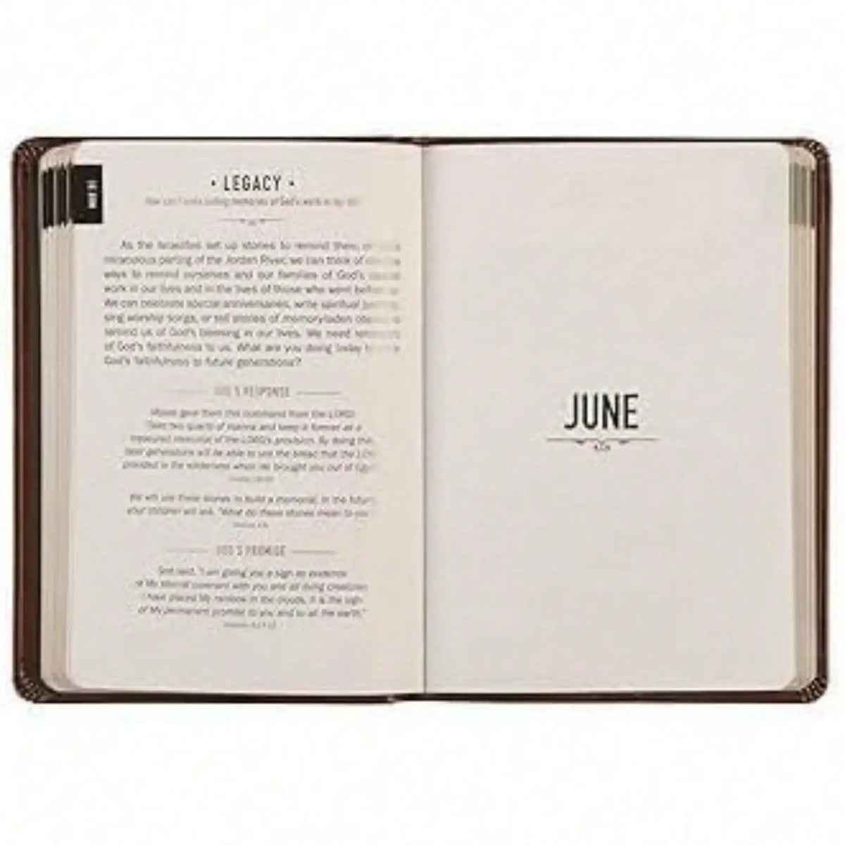 One Minute With God Journal